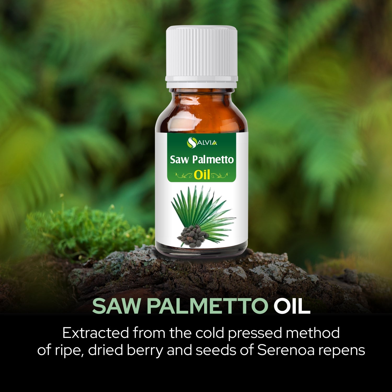 Saw Palmetto Oil Saw Palmetto Oil